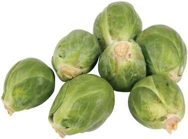 Nutritious Brussels