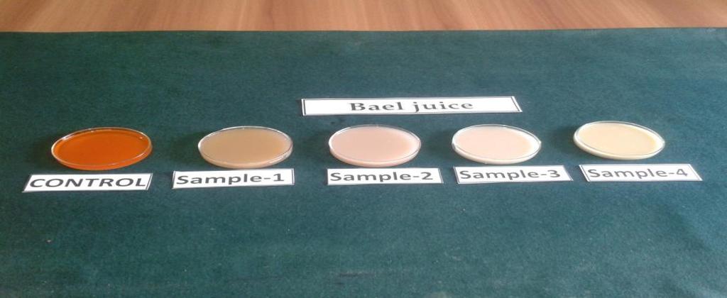 Bael Juice Sample-1: Bael fruit with sugar + cardmom powder Sample-2: Bael fruit with sugar + lime +