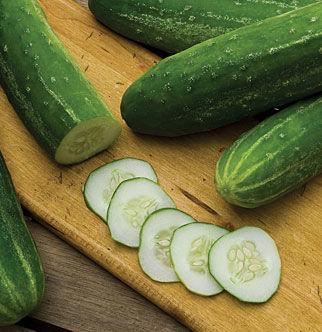 This heirloom, All-America Selections winner is a cuke for all seasons. Pick when 8 long for top flavor.