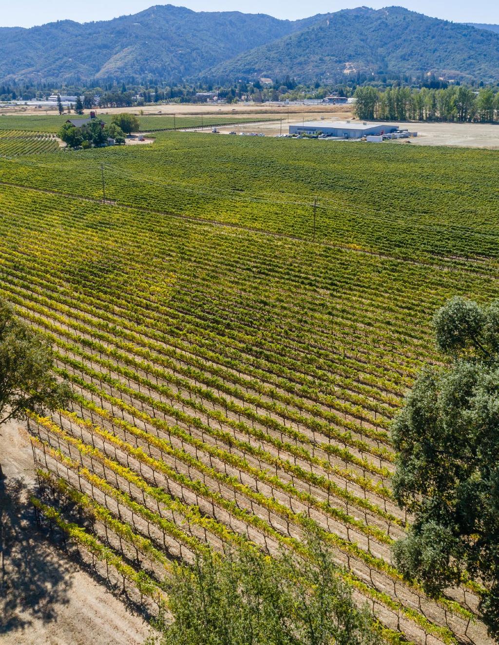 Salient Facts Address County/Appellation Winery Site 700 Ford Road, Ukiah, CA Mendocino Approximately 25+/- acres Industrial in the opportunity zone, ideal for a winery AP# s 170-200-15, 170-210-08