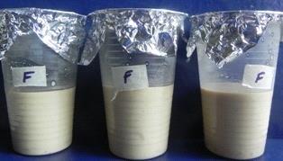 Studies of yogurt production either when growing alone (Tarak, 2010). Both organisms produce lactic acid as the main fermentation products.