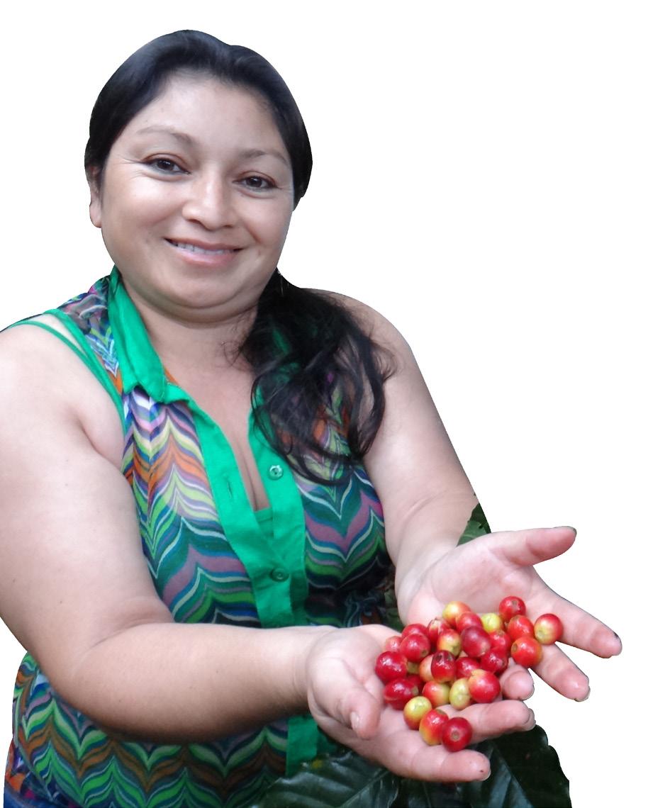 small-scale coffee farmers at both national and international levels.