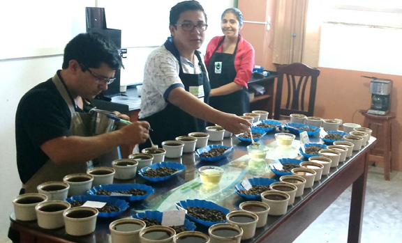 Selva Andina also provides training to its members, regarding coffee quality and productivity, promoting best practices and organic production.