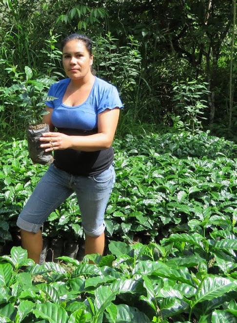 Dilcia López, a coffee producer from the Cooperativa de Servicios Múltiples Caja Rural (CARUSAN R.L.), believes that this plot has been a blessing for her family.