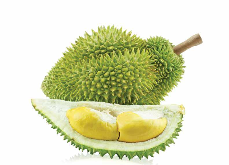 DURIAN FEST @ TMCC Saturday, 1 August 2015 TMCC Poolside Covered Terrace 6.00pm to 8.30pm Durian Lovers!