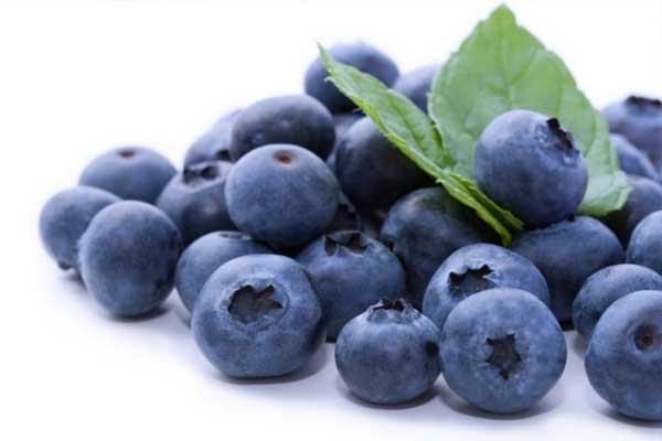Frozen Blueberries Varieties O neall Star Elliot Bluecorp Duke Brigitta Legacy Sizes +12 mm -12 mm Packaging Wrapped