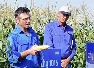 Bred by Snowy River Seeds......marketed by Strube From Australia, Snowy River breeds, produces and markets hybrid sweet corn seed to all markets of the world.