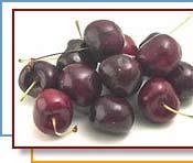 Royal Ann This variety has a blush-yellow skin and is often canned or made into maraschino cherrie Selection Buy cherries that have been kept cool and moist, as flavor and texture both suffer at warm