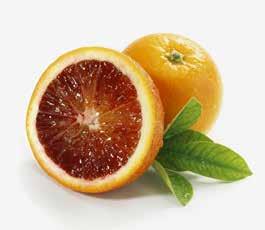 Powerhouse of Nutrition Sunkist Blood Oranges 88 Ct.