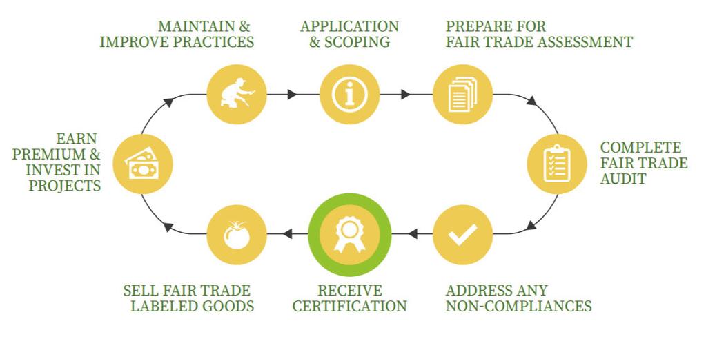 Fair Trade Certification Cycle Overview of the process along the Fair Trade journey of continuous improvement.