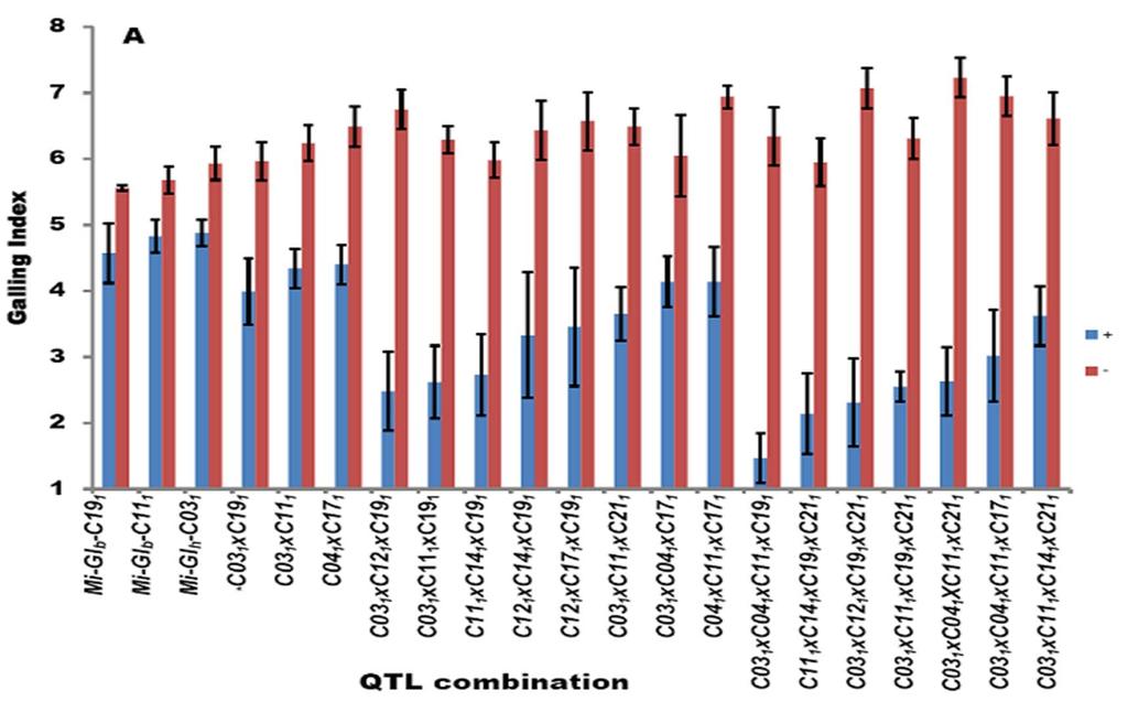 Comparison of lines with/without combinations of 2 to 4 QTLs showed reduction > 50% in both