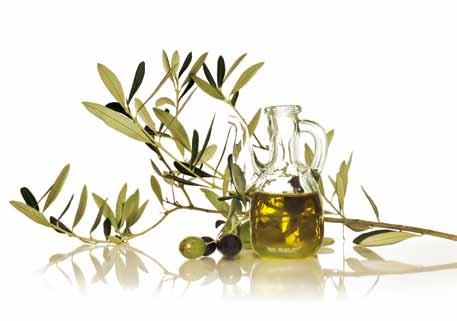 Quinta Nova Olive Oil A reference brand The