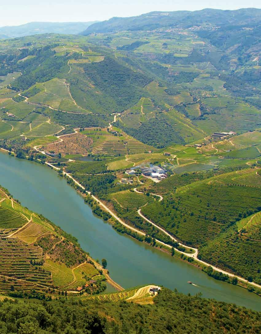 The beautiful region of the Douro Valley, World Heritage Site, is the area where one of the key sectors of the nature-related business of the Américo Amorim group operates, namely: wine