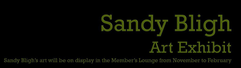 Sandy Bligh Biography Sandy has been an active artist all her life.