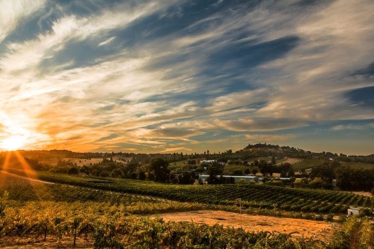 Situated in picturesque Amador County of northern California, Renwood Winery is surrounded by the rolling hills and