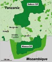 The Selous-Niassa Wildlife Corridor (Ushoroba) in Ruvuma Region provides a significant biological link between the Selous Game Reserve in southern Tanzania and the Niassa Game Reserve in northern