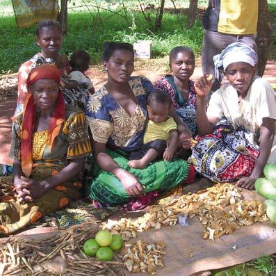 Market Women are selling Russula cellulata at soko mjinga near the hospital at Songea.