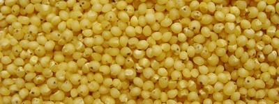 Millet polished GOST 572-60 Millet polished GOST 572-60 No. denomination of characteristics Description and the norms for the extra sort Description and the norms for the first sort 1.
