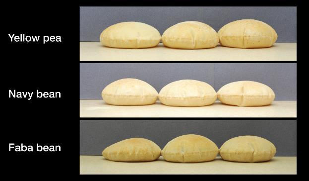 Table 7. Pocket height, diameter, brightness (L*) and firmness of pita breads made with pulse flours Treatment Pocket Height (mm) Diameter (cm) L*¹ Firmness²(g) Wheat Reference 71.9 ± 8.1 17.9 ± 0.