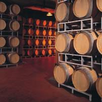 HARVEST, CELLARS, WINE AGEING The exceptional climate, the proximity of the area to the sea, the enthusiasm of TerraGens young generation wine-makers attracted soon the attention of Federico Curtaz,