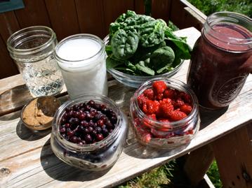 DRINKS Spinach Berry Smoothie [Makes 24 Ounces] 1 cup coconut kefir, kefir or Greek yogurt ½-1 cup water 2 cups Spinach 2 cups Berries (Blueberries, Raspberries, Strawberries, or whatever you prefer)