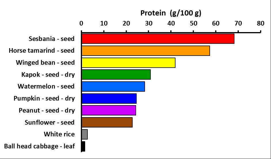 Protein foods Sesbania Food plants add an important amount of protein or