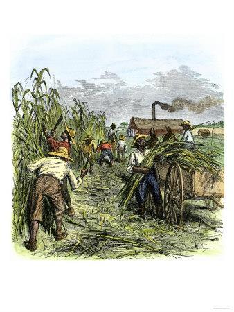 Free blacks did exist in the West Indies and often equaled