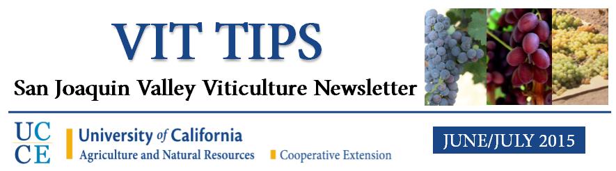 In This Issue Career Reflections from Maxwell Norton Around the SJV: County Updates Sour Rot Control Managing