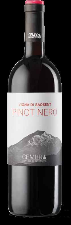 VIGNA DI SAOSENT PINOT NERO Trentino Doc Vigna Saosent (560 m ASL), locality just a short distance from the village of Cembra, has been considered for over 15 years as an excellent Cru location for