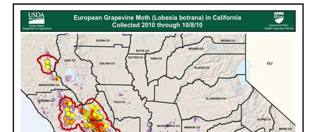 Quarantine Areas Individual Moth Catches As of
