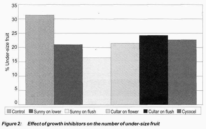 This indicates that direct inhibition of flushes reduces competition between fruit and vegetative growth, allowing better fruit growth.