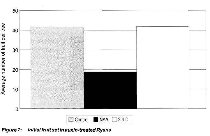 In addition to playing a role in sink strength, auxin also plays a role in fruit setting and retention, as well as fruit size.