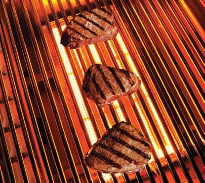 PROSEAR VARIABLE SEARING TECHNOLOGY FOR RESTAURANT- QUALITY PERFORMANCE.