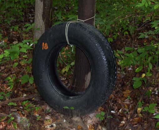 Materials and Methods Tires tied in upright position