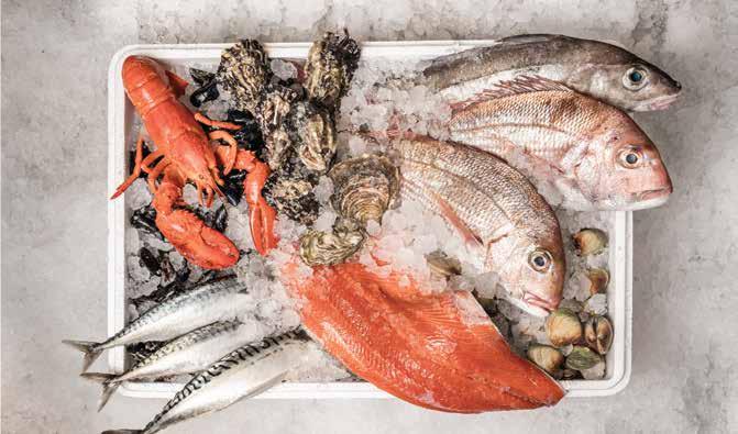 Sashimi Wednesdays Salmon $14++/order Akami $14++/order Kampachi $18++/order Tai Snapper $20++/order Shellfish & Crustacean Thursdays