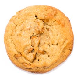 famous chocolate chunk cookie, with big
