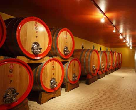 Palazzo is considered a boutique winery, producing some 22,000 bottles annually.