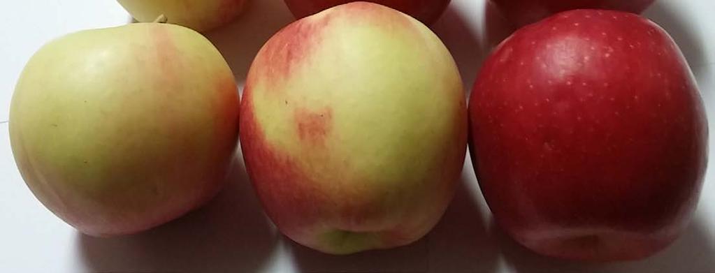 Fruit Color USDA Standards for Grades All apple varieties other than those appearing in Table I shall have no color requirements