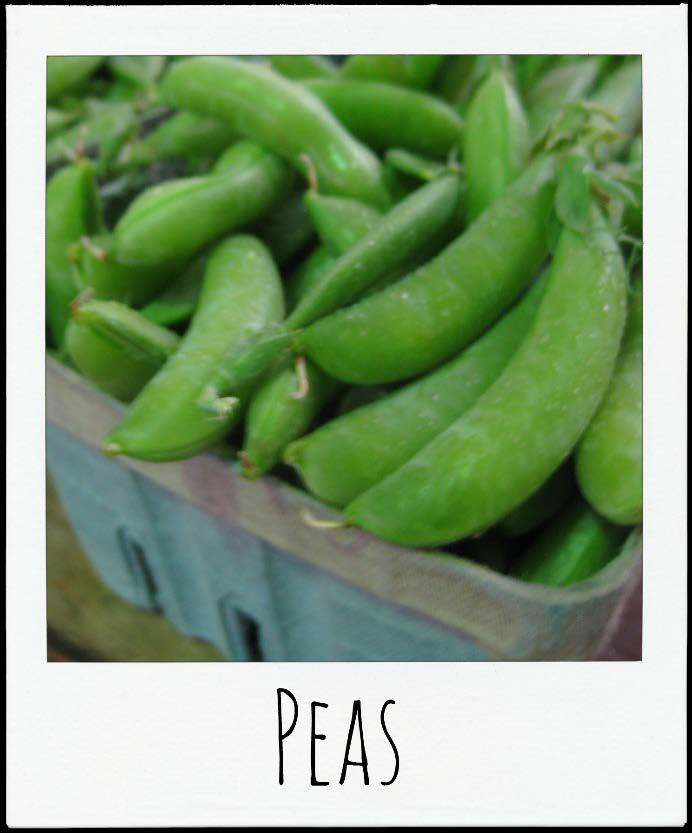 There are three main categories of peas: garden peas (also called English or shelling peas), snap peas, and snow peas.