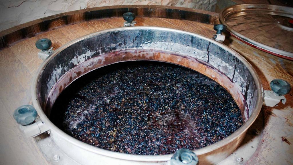 STEP 2: AMARONE DOCG VINIFICATION when: