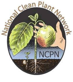 Plant Health Programs National Clean Plant Network (NCPN) Berries Clean Plant Network (B-CPN) Needs Assessment and Planning Meeting St.