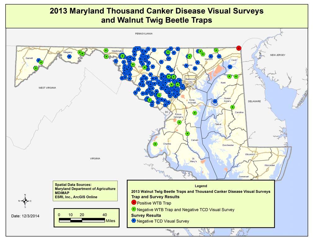 TCD in MD (Continued from page 2) the extent of the infestation and to continue trying to detect TCD.