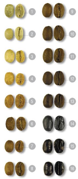 Coffee Roasting Types 1. Green coffee beans (un-roasted) - 23 C / 75 F 2. Starting to pale - 132.2 C / 270 F 3. Early yellow phase - 163.9 C / 327 F 4. Yellow tan phase - 173.9 C / 345 F 5.