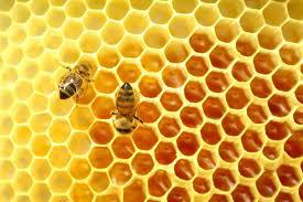 In most places, beekeepers can name their price and sell all the honey they can produce. I want to give you a few tips today on maximizing your honey production.