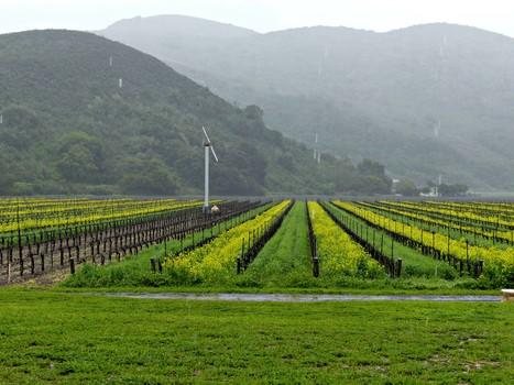 Inspired by the great wines of Burgundy, Sanford and Benedict were convinced that great wine could be made in Santa Barbara County s Santa Rita Valley.