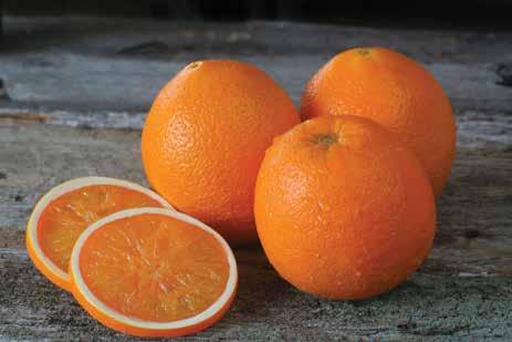 Oranges 3/ 99 for
