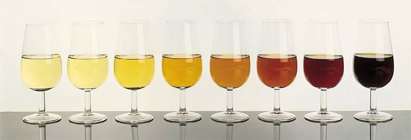 TYPES OF SHERRY WINES The different levels of alcohol determines the future ageing of the wines in cask At 15º alc.