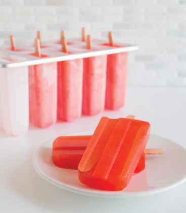 ICE POP MOULDS 47904 Silicone, Set of 4 Box, 24 per case