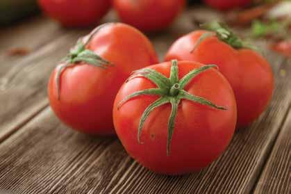 Vine Ripe Slicing Tomatoes