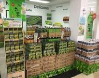 spread of matcha Expand distribution